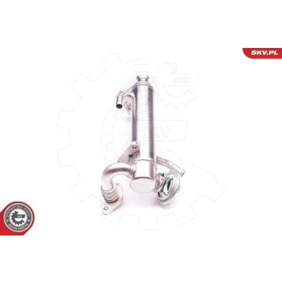 Kuva ESEN SKV 14SKV122 EGR Venttiili Pneumaattinen FIAT: Ducato III Flatbed Kuorma auto / Alusta, Bussi, Van
