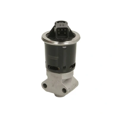Kuva ENGITECH ENT500082 EGR Venttiili CHEVROLET: Aveo / Kalos Hatchback, DAEWOO: Hatchback