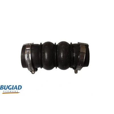 Kuva BUGIAD 82291 Ahdinletku Kuorilla