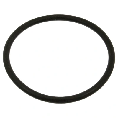 Kuva SWAG 30 91 8774 Termostaatin Tiiviste VOLKSWAGEN: GOLF 2, Polo II Hatchback, SEAT: Ibiza 2