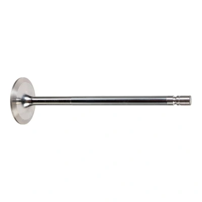 Kuva FEBI BILSTEIN 177184 Imuventtiili 46