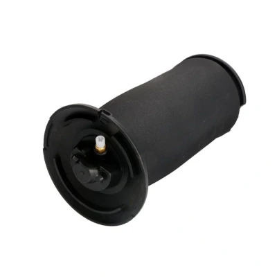 Kuva Magnum Technology MZB015MT Ilmajousi, Jousitus Taka akseli BMW: 5 Touring