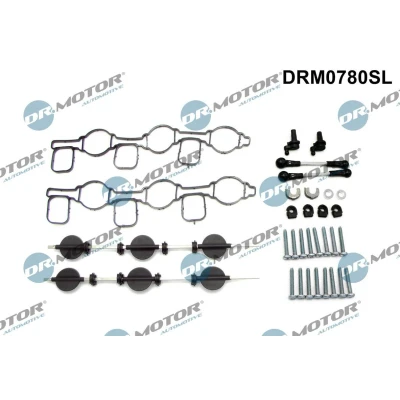 Kuva DR.MOTOR AUTOMOTIVE DRM0780SL Korjaussarja, imusarjamoduuli AUDI: A6 C6 Avant, Sedan