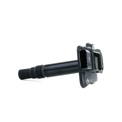 Kuva ERA 880037A Sytytyspuola 4 AUDI: A6 C5 Avant, Sedan, A3 Hatchback, VOLKSWAGEN: Golf 4, Variant, Bora SEAT: Leon I Hatchback