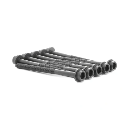 Kuva Sylinterikannen pulttisarja AUDI, SEAT, SKODA, VW OE 036103384B(x10)