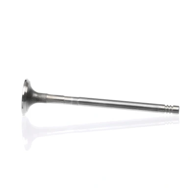 Kuva Pakoventtiili, Poistopuoli FORD, MAZDA, VOLVO OE 1113189, 1S6C6505BA, 30711638