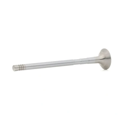 Kuva Pakoventtiili ALFA ROMEO, CHEVROLET, CITROËN, FIAT, LANCIA, OPEL, PEUGEOT, SUZUKI, VAUXHALL OE 0949.G3, 55223836, 641101