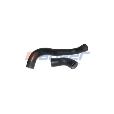 Kuva AUGER 69478 Ahdinletku