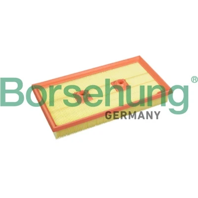 Kuva Borsehung B10542 Ilmansuodatin Suodatinpanos VOLKSWAGEN: Passat B6 Sedan, Variant, Golf 5, SKODA: Octavia 2 Combi, II Hatchback