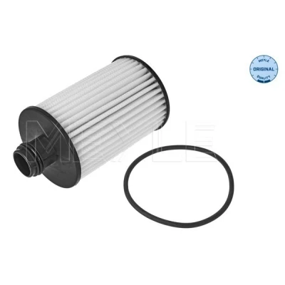 Kuva MEYLE 29 14 322 0003 Öljynsuodatin Tiivisteillä Suodatinpanos CHEVROLET: Captiva, Cruze Sedan, Hatchback, OPEL: Antara