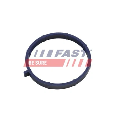 Kuva FAST FT49467 Imusarjan Tiivisteet FORD: Transit Mk6 Van, Flatbed Kuorma auto/Alusta, Bussi