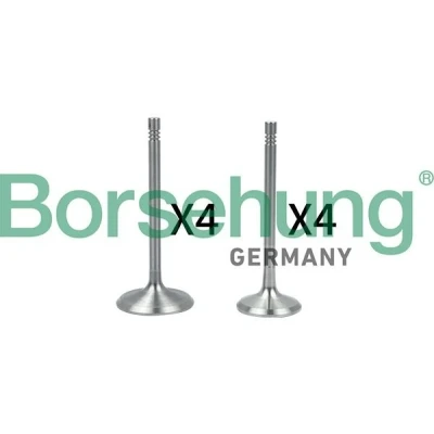 Kuva Venttiilisarja, imu /pakoventtiili AUDI, SEAT, SKODA, VW OE 06B109601B, 06B109601B+, 06B109601D
