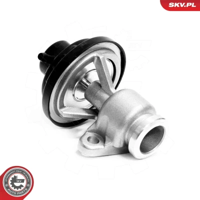 Kuva EGR venttiili ESEN SKV 14SKV321