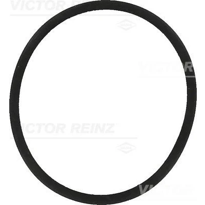 Kuva REINZ 40 77557 00 Imusarjan Tiivisteet VOLKSWAGEN: Polo IV Hatchback, V SKODA: Fabia I Roomster, SEAT: Ibiza 3