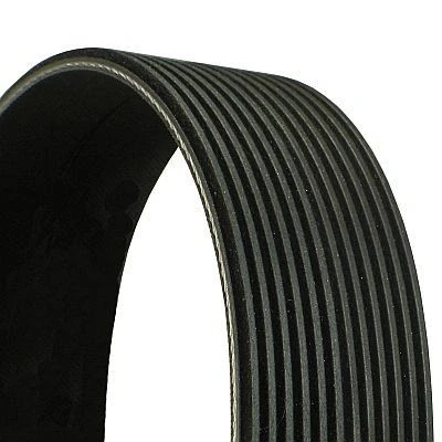 Kuva CONTITECH 12PK1815 Moniurahihna 1815 12