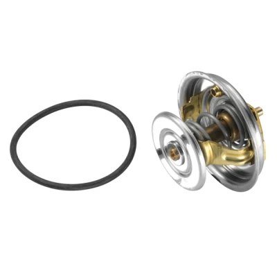 Kuva WAHLER 4078.71D Termostaatti 71
