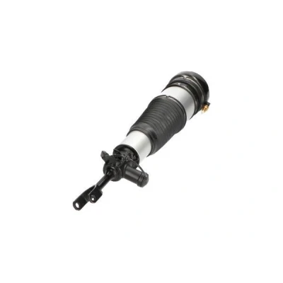 Kuva Ilmajousijalka KAVO PARTS SAS 10015