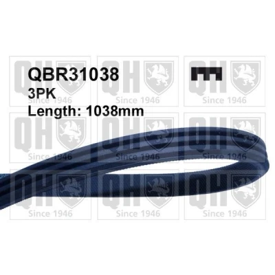 Kuva QUINTON HAZELL QBR31038 Moniurahihna 1038 3 RENAULT: CLIO 2