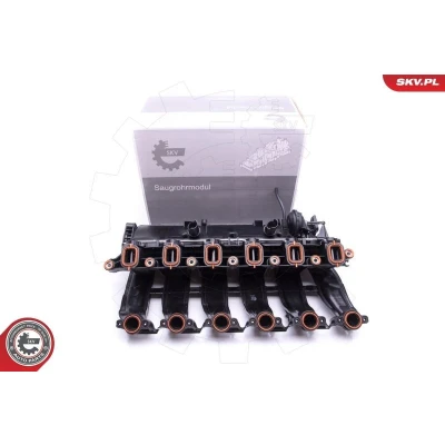Kuva Imusarjamoduli BMW OE 11617790701, 11617800585, 7790701