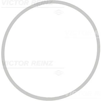 Kuva REINZ 71 39409 00 Imusarjan Tiivisteet FPM (fluori kumi) BMW: 5 Touring, X5, 6 Coupe