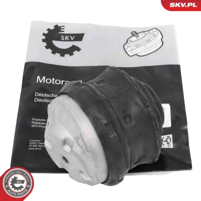 Kuva Moottorin tuki, Edessä, Oikea, Vasen Esen skv 75SKV002 mercedes benz OE 2032401417, 2032402117, 2102403017