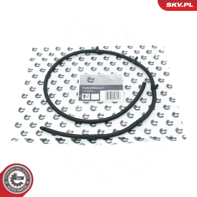 Kuva ESEN SKV 54SKV269 Letku, Polttoaineen Ylivuoto biodieselille BMW: 5 Touring, X5