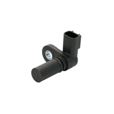 Kuva DELPHI SS11222 Nokka Akselin Asentotunnistin