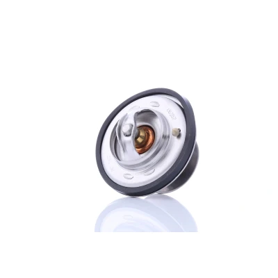 Kuva FEBI BILSTEIN 09675 Termostaatti 75 Tiivisterenkaalla MERCEDES BENZ: S sarja Sedan