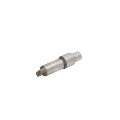 Kuva Elementti, CR pumppu BOSCH F 01M 100 285