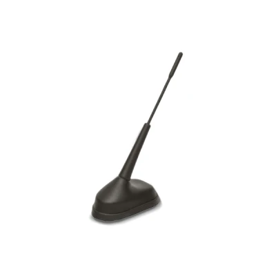 Kuva BERU A202 Antenni