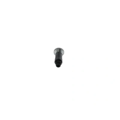 Kuva Käsisyöttöpumppu BOSCH 2 447 222 098