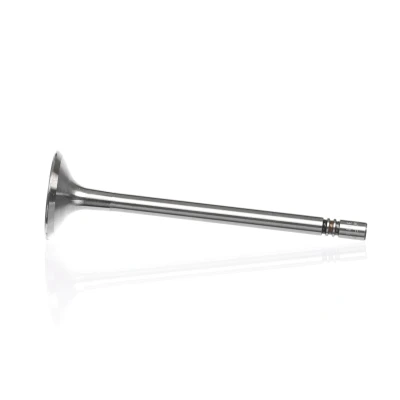 Kuva Imuventtiili, Imupuoli AUDI, SEAT, SKODA, VW OE 03L 109 601, 03L109601
