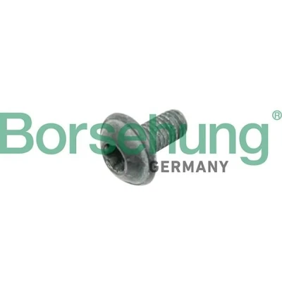Kuva Borsehung B10635 Ruuvi, Jarrulevy AUDI: A4 B7 Avant, B8 A6 C6 VOLKSWAGEN: Transporter 5 Bus, Golf 4 Variant, Passat Variant