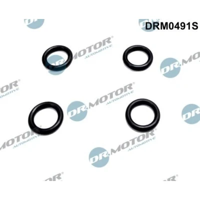 Kuva DR.MOTOR AUTOMOTIVE DRM0491S Tiivisterengas, ruiskutusventtiili