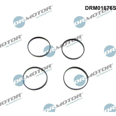 Kuva DR.MOTOR AUTOMOTIVE DRM01676S Tiivistesarja, Imusarja BMW: 5 Touring, Sedan, X5