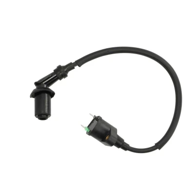 Kuva Sytytyspuola INPARTS IP000044