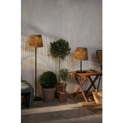 Kuva Aurinkovalaisin Cesta 48 cm Ruskea