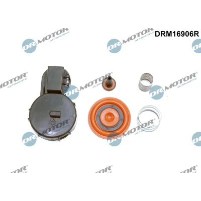 Kuva DR.MOTOR AUTOMOTIVE DRM16906R Kalvo, kampikammiotuuletus