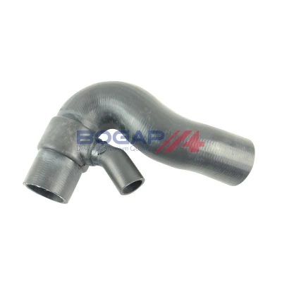 Kuva BOGAP A1711217 Ahdinletku EPDM (eteenipropeeni dieeni kumi) VOLKSWAGEN: Passat B5 GP Variant, Sedan, Variant