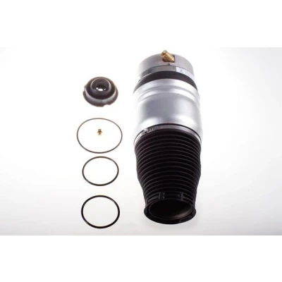 Kuva Ilmajousi, jousitus, Etuakseli, vasen AUDI Q7, PORSCHE CAYENNE, VW TOUAREG OE 7L5 616 403 B, 403, 7L6 B