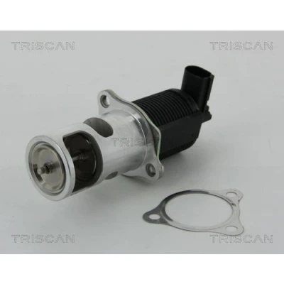 Kuva TRISCAN 8813 25038 EGR Venttiili Elektroninen Tiivisteillä