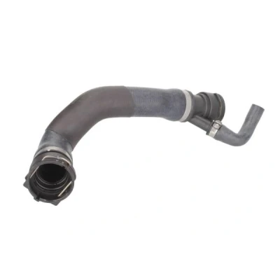 Kuva THERMOTEC DWB048TT Jäähdyttimen Letku BMW: X5