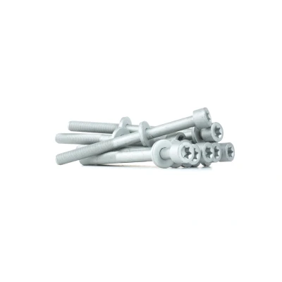 Kuva REINZ 14 32037 01 Kannen Pultit Torx, sisä OPEL: Omega A Sedan, B Caravan