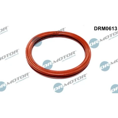 Kuva DR.MOTOR AUTOMOTIVE DRM0613 Imusarjan Tiivisteet RENAULT: CLIO 2, MEGANE 1