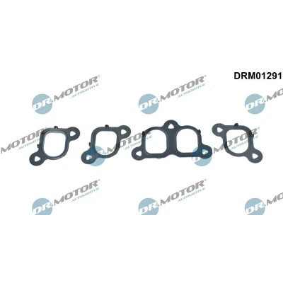 Kuva DR.MOTOR AUTOMOTIVE DRM01291 Tiivistesarja, Imusarja VOLKSWAGEN: Transporter 5, Multivan 5 (7HM, Bus