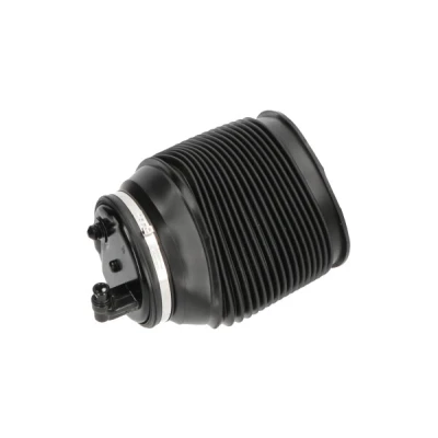 Kuva Ilmajousi, jousitus KAVO PARTS SAS 10012