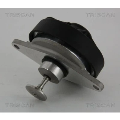 Kuva TRISCAN 8813 24202 EGR Venttiili Pneumaattinen Tiivisteillä OPEL: Vectra B Farmari