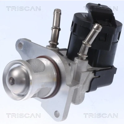 Kuva TRISCAN 8813 11001 EGR Venttiili Sähköinen Tiivisteillä, ilman pakokaasukierr. jäähdytintä BMW: 5 Touring, 3 Sedan