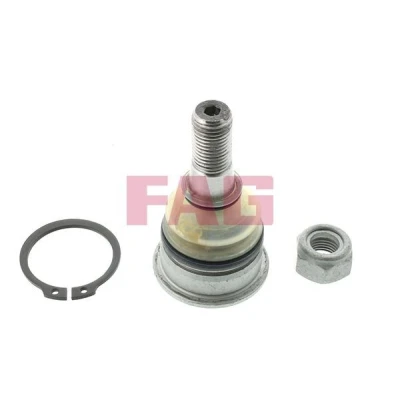 Kuva FAG 825 0229 10 Alapallonivel 14,70 39 NISSAN: 200SX, ALMERA 1, 1 Hatchback