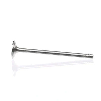 Kuva Pakoventtiili Dacia, Mercedes benz, Nissan, Renault, Smart OE 13 20 253 79R, 272 23R, 132025379R